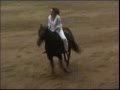 Stacy Westfall Bareback and Bridleless