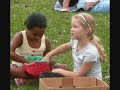 Australian Cavy Sanctuary \ Australian Cavy Sanctuary \