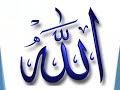 Ammar Willst du wissen was Islam ist?