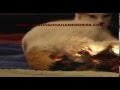 CAT giving birth!
