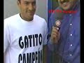 Gatito Campeon