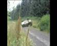Mk2 Escort Rolls