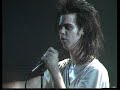 The Birthday Party - Fears of Gun Live
