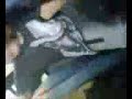 onnn the bus