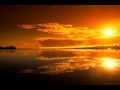 Tomorrow's Bad Seeds - Reflect