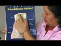 Salud Dental : Áreas del diente Salud Dental : Áreas del diente
