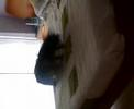 CHES Y RUBI JUEGAN A PRESING CASH 2