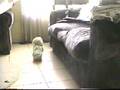 Kairi al llegar a la casa