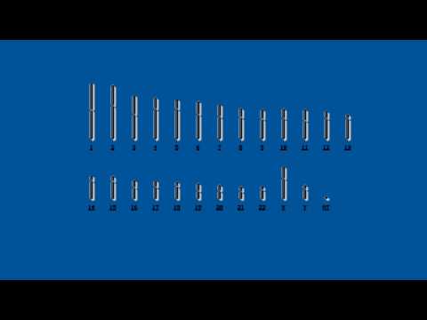 chain reaction chain reaction