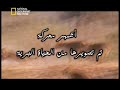 الفيديو الذي حير مصوري قناة ناسيونال جيوغرافيك (HQ)