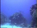 Cayo Los Indios