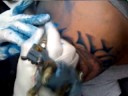 Fresh tatoo Fresh tatoo