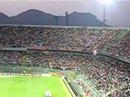 Siam\