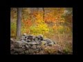 AMAZING AUTUMN MEDITATION - gorgeous nature and music