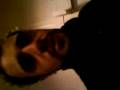 ENTRENAMENT FLYHARD