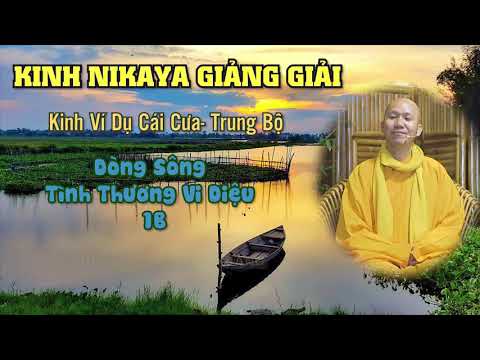 Kinh NIKAYA Giảng Giải - Dòng Sông Tình Thương Vi Diệu 1B