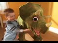 Kota the Robotic Triceratops Dinosaur