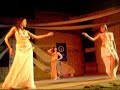 saidi-show-in-indiana-2006-by-mohamed-shahin.html