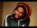 Bob Marley- Positive Vibrations