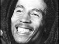 Bob Marley- Positive Vibrations