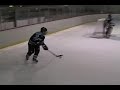 silverstick highlights