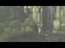 Tomb Raider  Underworld - PC
