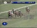 ADIOS AL HOMBRE - Sociedad Hipodromo Chile