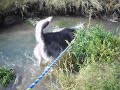 Zoey, Dolly lake