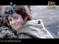 samwise - the brave