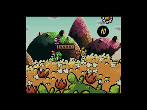 動画