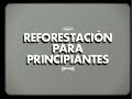 ayuda a calderón