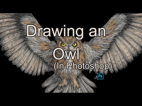 video-linktoworks-How to Draw a Great Horned Owl in Photoshop