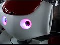 Nao � peur du noir