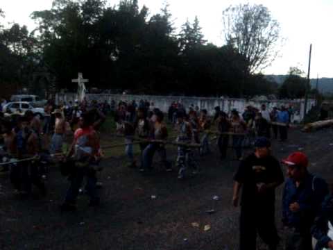 Ver Video