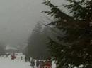 Westport Fire Department Ski Team 2008