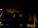 aggresive site live   20000 leagues under the busciut