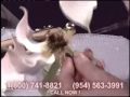 videos de Learn Cake Decorating and Buy Supplies Wholesale
