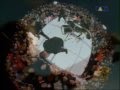 Assistir ao vídeo