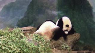 Smithsonian National Zoo