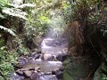 Rio aguas termales, San Vicente 2