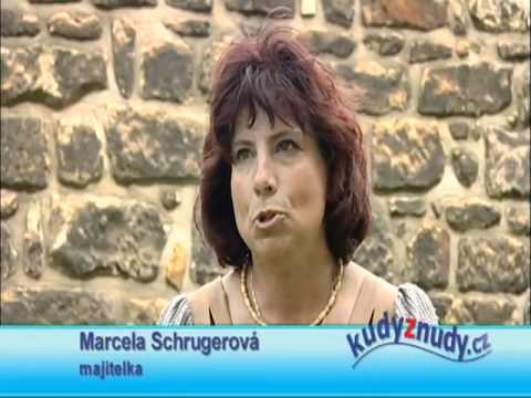 Veselý školní autobus