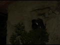 V de Vicioso - Part 4