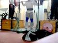 videos de Dogge 230 kg x 2