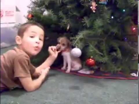ADORABLE IG Mixes ~ Watch VIDEO ~