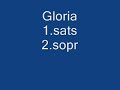 Gloria 1.sats. 2.sopr..wmv