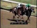 videos de Horse Racing #2