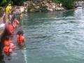 videos de Swimming with the dolphins