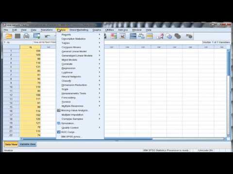 how to one sample t test spss