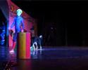Sita the Border Collie at Youth Circus Saranti in Leeuwarden