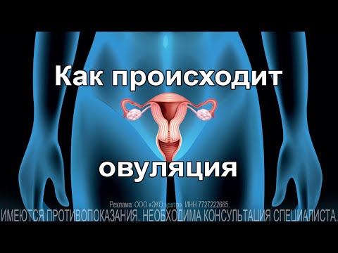 Видео: В какие дни лучше забеременеть